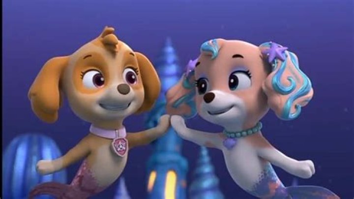 Who has a crush on Ella in PAW Patrol?