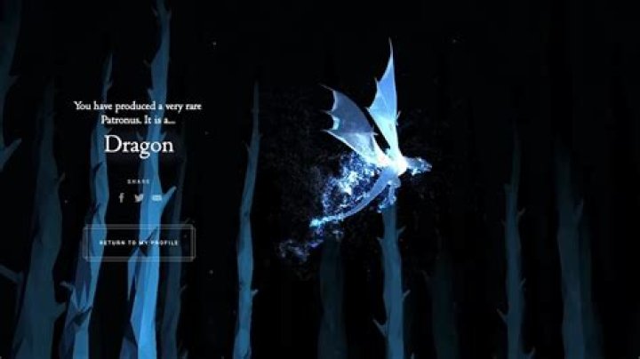 Who is Patronus dragon?