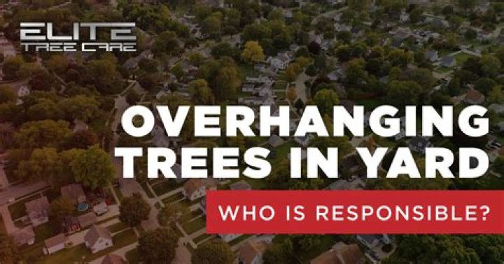 Who is responsible for trees overhanging Neighbours?
