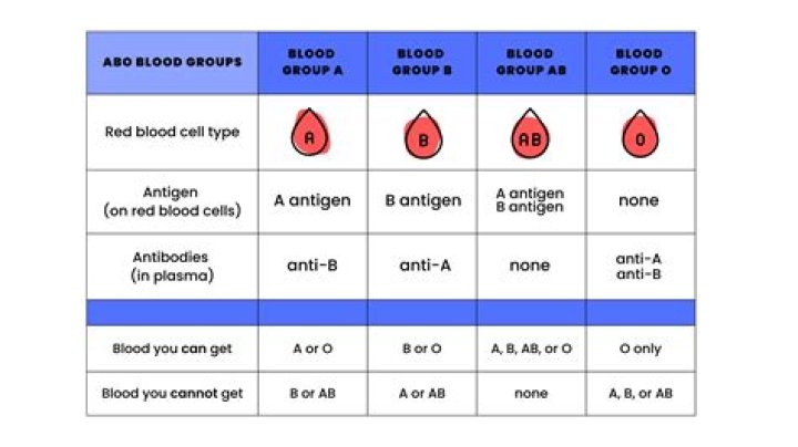 Who is the best blood group?