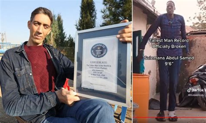 Who is the tallest pro hero in MHA?