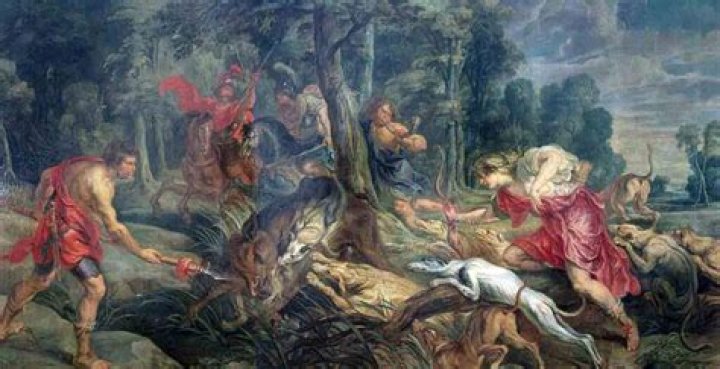 Who killed the Calydonian boar?