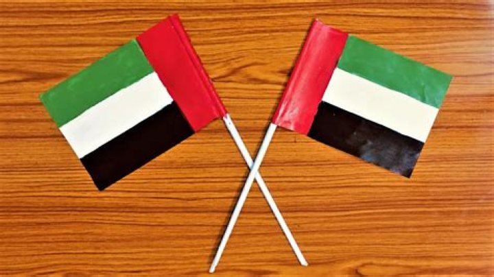 Who made UAE flag?