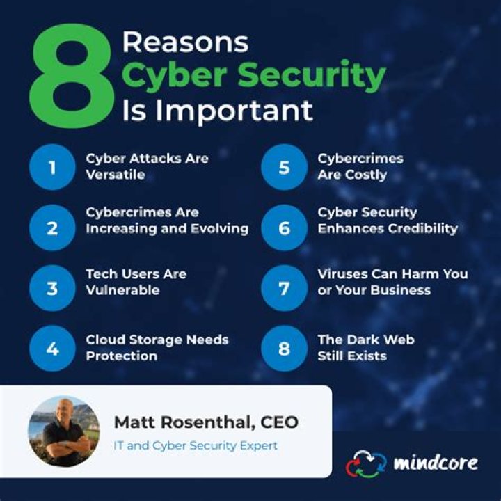 Who needs cyber security the most?