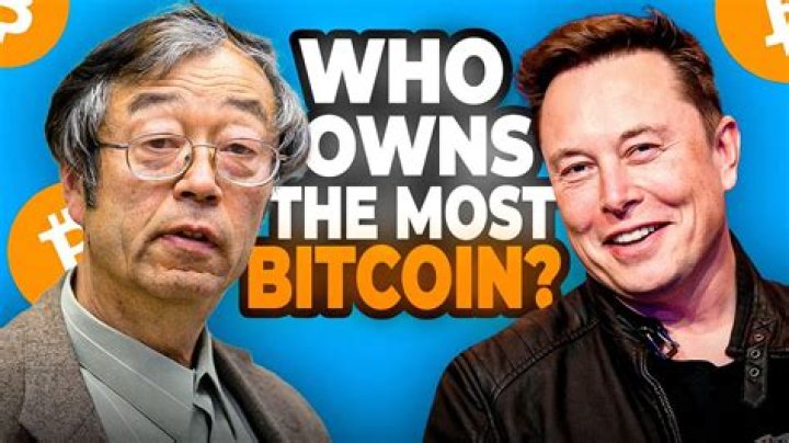 Who owns most of the Bitcoin?