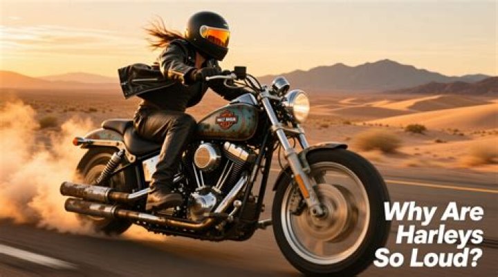 Why are Harleys allowed to be so loud?