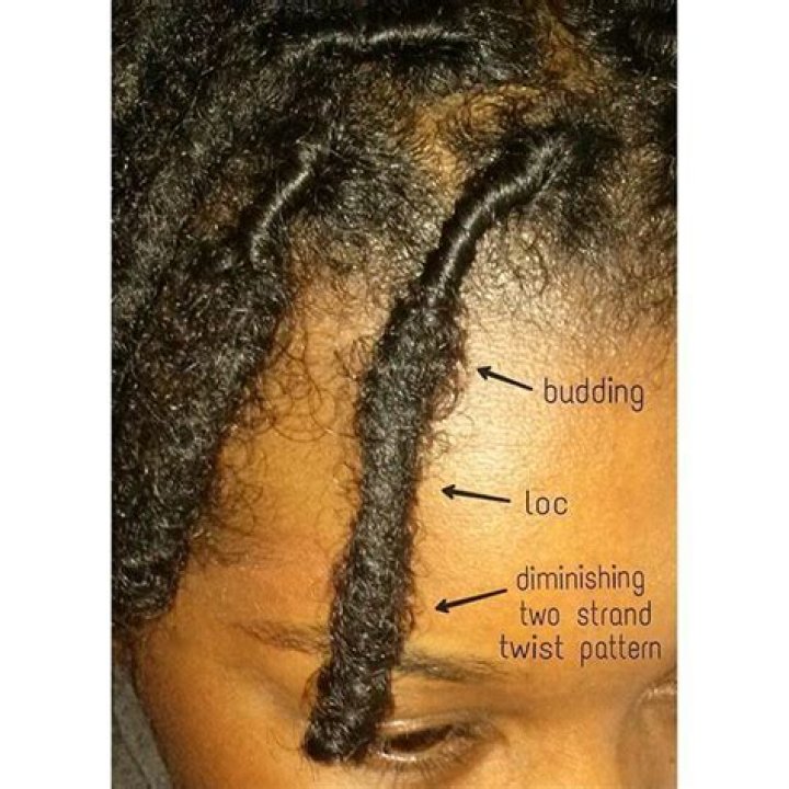 Why are my locs flat?