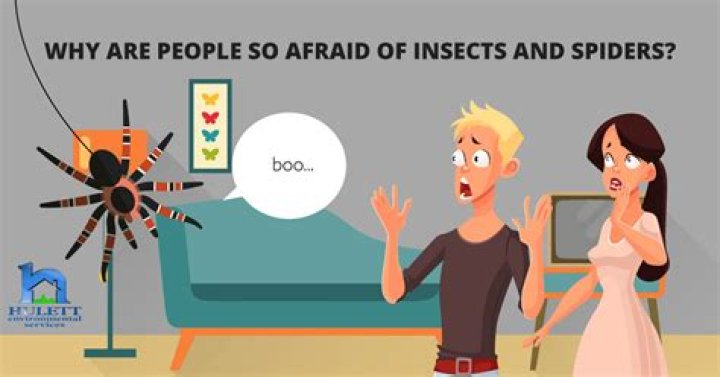 Why are people afraid of mayo?