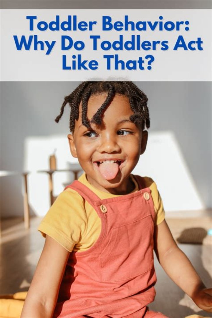 Why are toddlers such hard work?