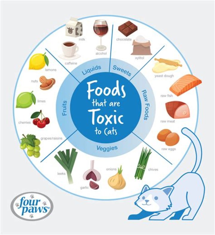 Why cant I eat when I have a crush?