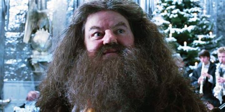Why did Hagrid remove the stone from the vault?