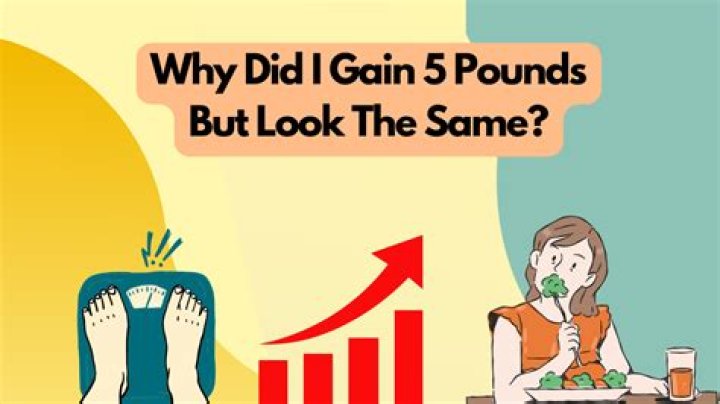 Why did I gain 5 pounds in a day?
