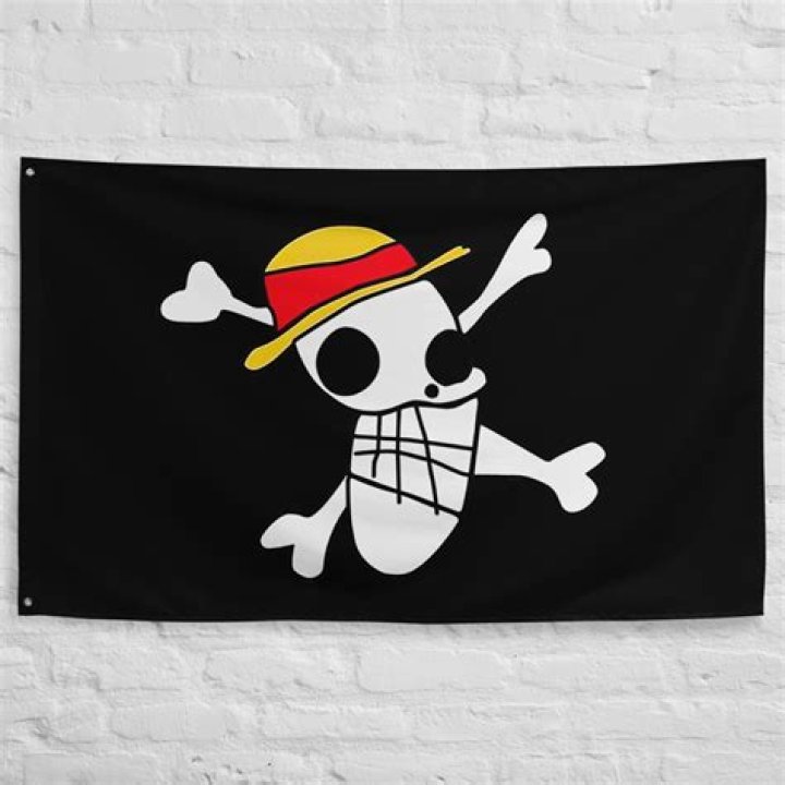 Why did Luffy take the Foxy Pirates flag?