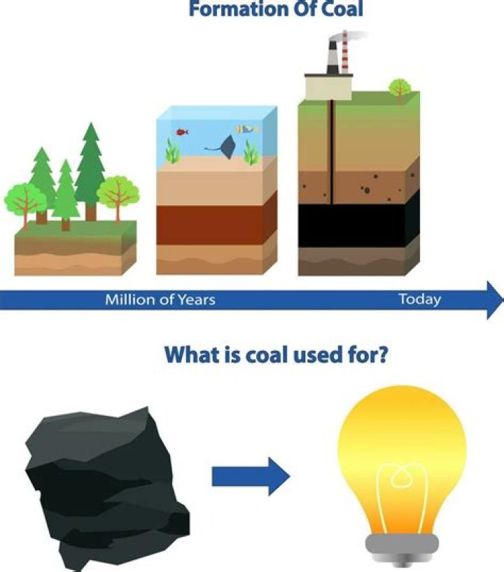 Why did man use coal instead of wood as fuel?
