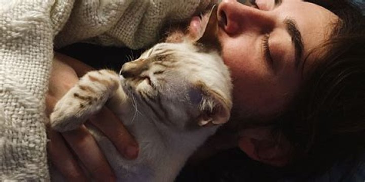 Why do cats lay on you when you sleep?