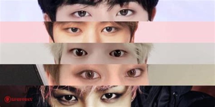 Why do Koreans have fat under their eyes?