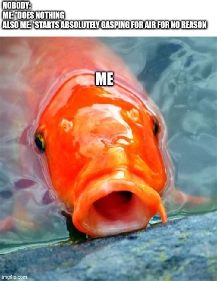 Why do my fish seem to be gasping for air?