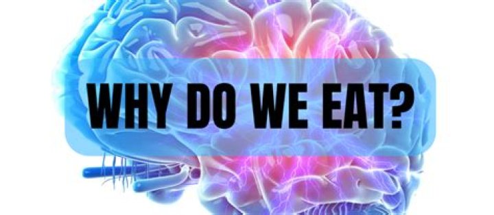 Why do we eat?