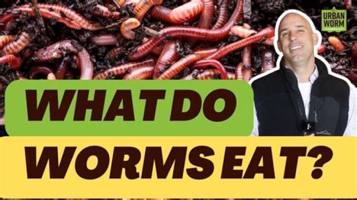 Why do worms bunch up?