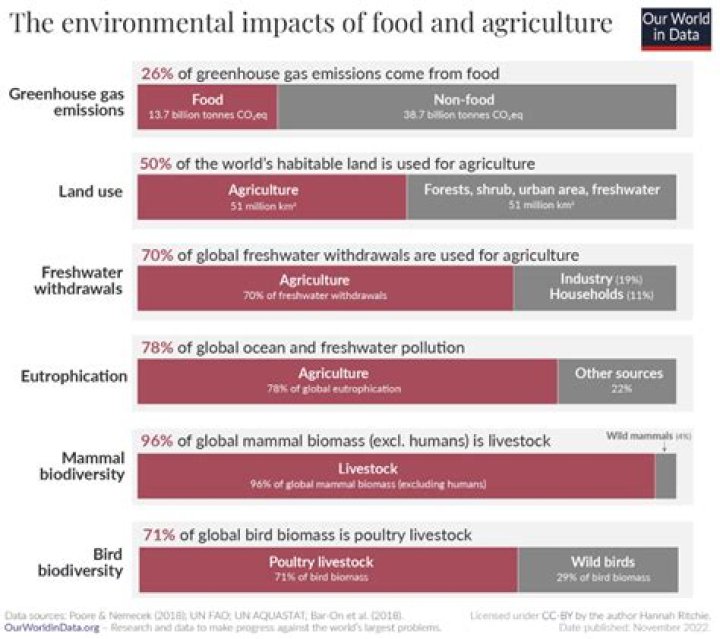 Why do you think it is important to understand the environmental impacts of the modern agriculture?