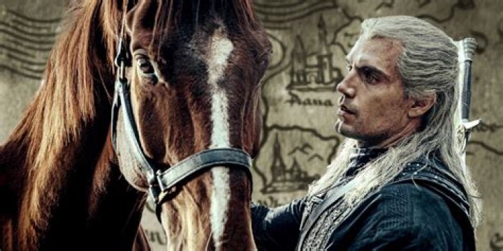 Why does Geralt call his horses Roach?