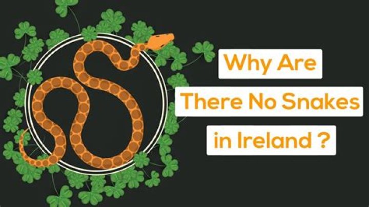 Why does Ireland have no snakes?