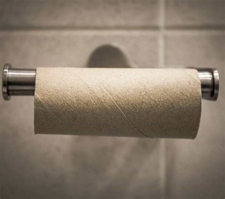 Why does my dog eat toilet rolls?