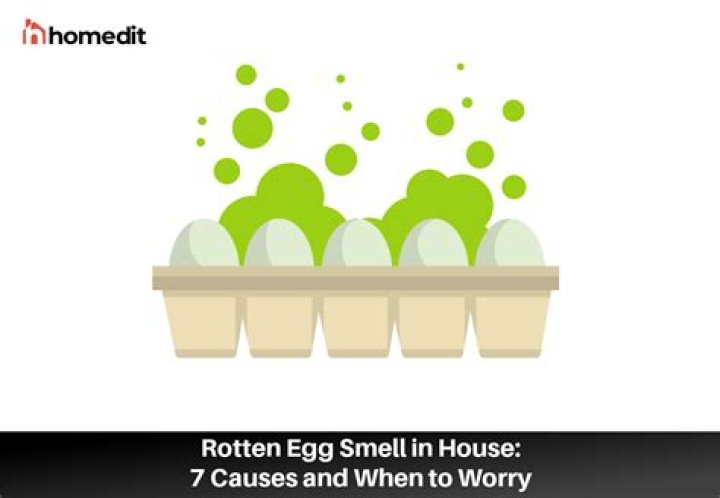 Why does my house smell like rotten eggs at night?