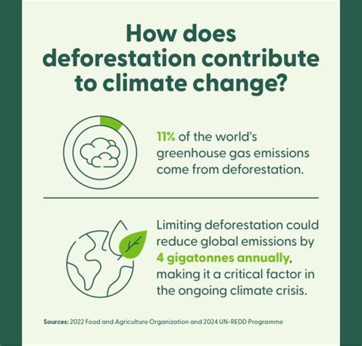 Why does the government need to regulate the free market to protect competition quizlet?