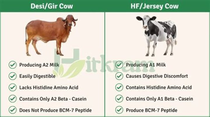 Why Gir cow milk is costly?
