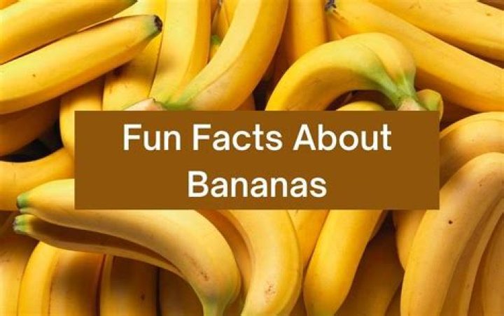 Why is a banana called a banana?
