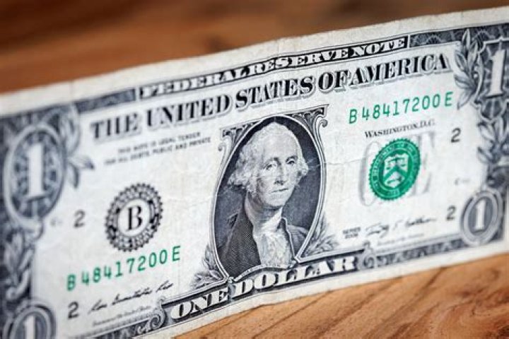 Why is a dollar called a buck?