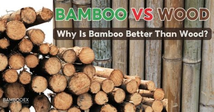 Why is bamboo better than wood?