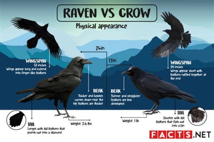 Why is crow hopping illegal?