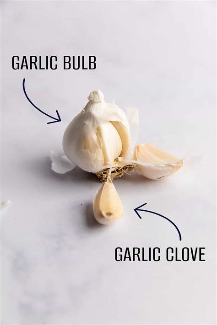 Why is garlic called the pope?