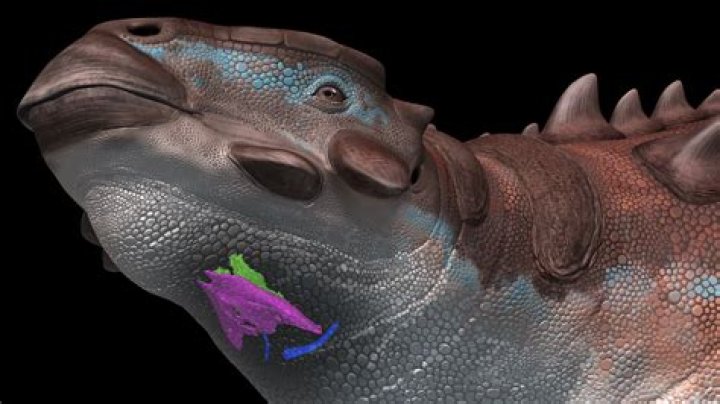 Why is it called a Gundam?