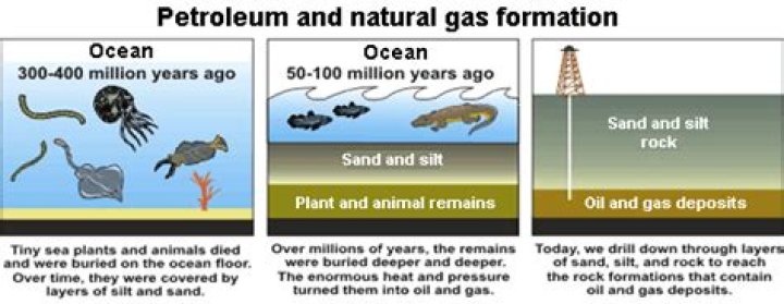Why is it called fossil fuel?