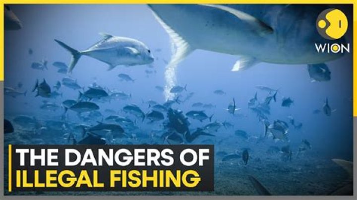 Why is it illegal to use a ham radio?