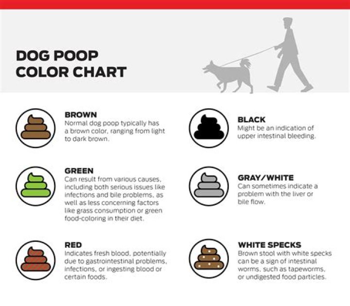 Why is my dog's poop reddish brown?
