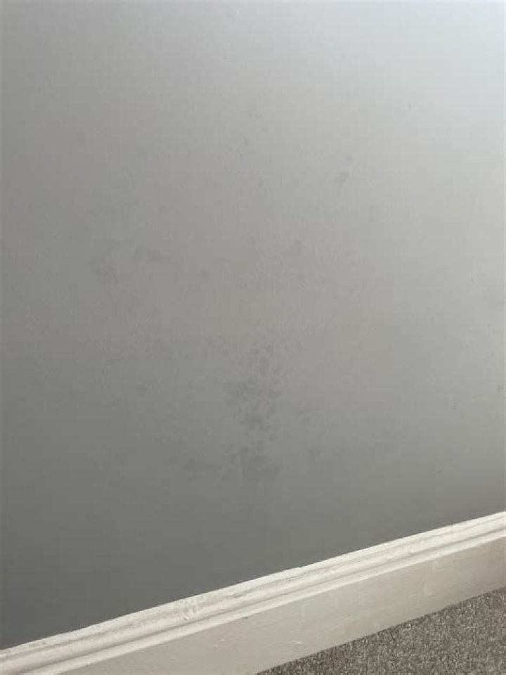 Why is my freshly painted wall blotchy?