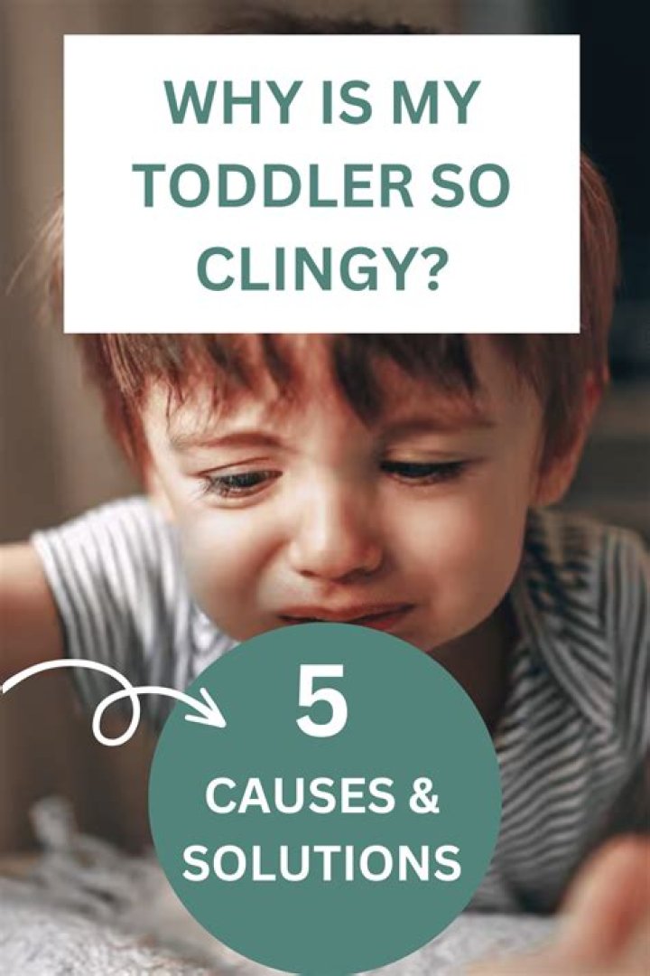 Why is my toddler so clingy to one parent?