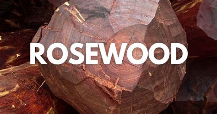 Why is rosewood so popular?