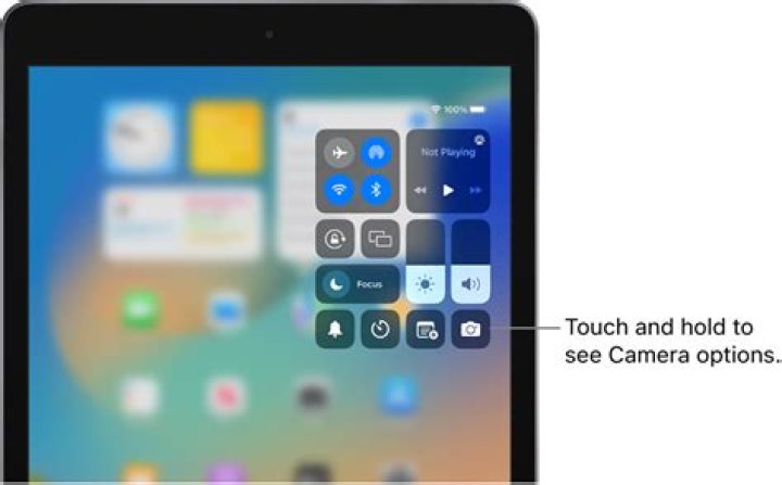 Why is there a GREY dot on my iPad screen?