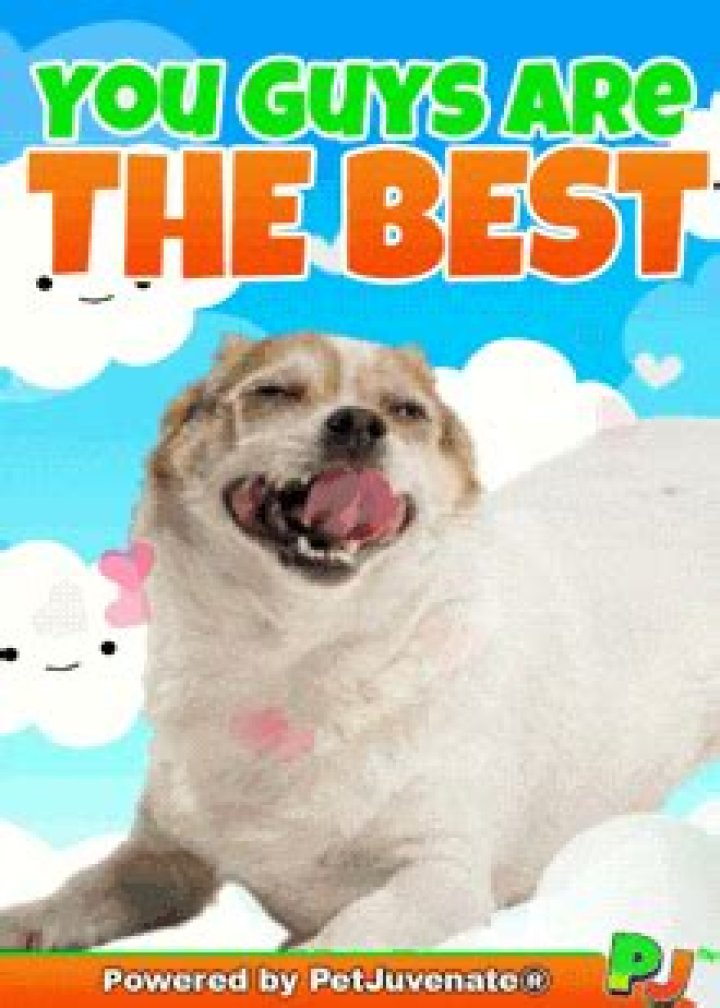 Why shy guys are the best?