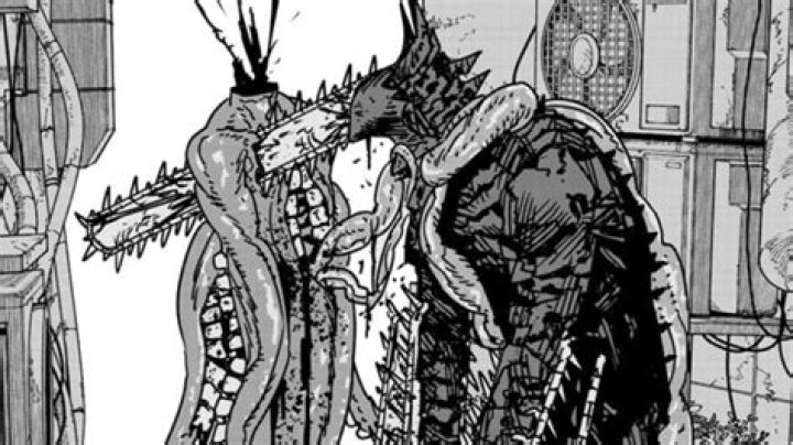 Why was Champa erased?