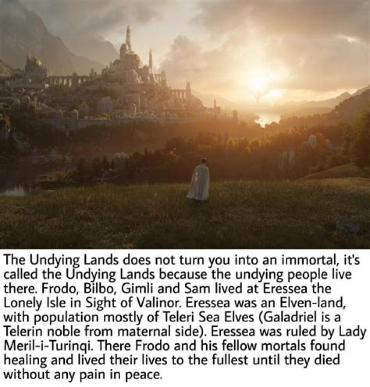 Why was Frodo allowed in the Undying Lands?