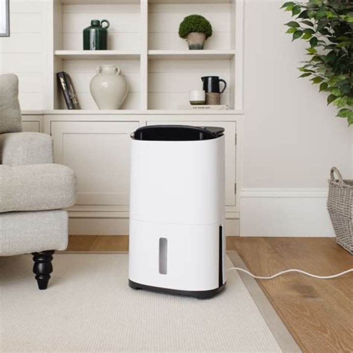 Will a dehumidifier dry a room?