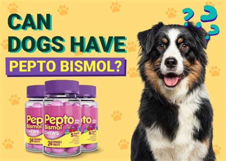 Will Pepto-Bismol hurt a dog?