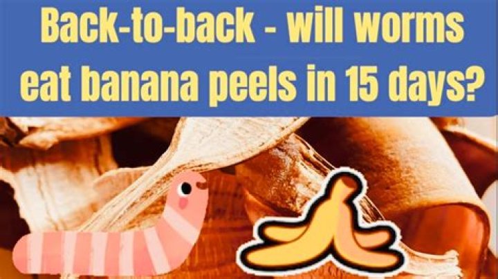 Will worms eat banana peels?